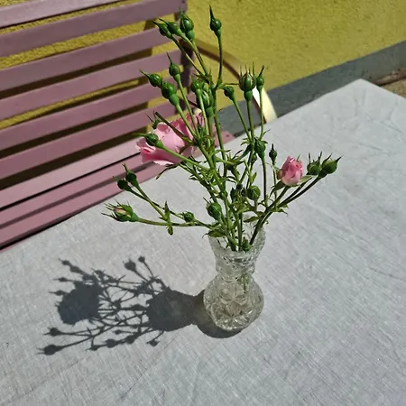 Bei Sabine 3* Leutschach