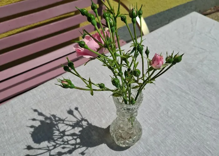 Bei Sabine 3* Sabathe